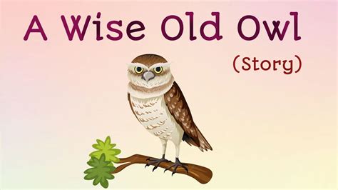  The Wise Old Owl – A Tale Exploring Wisdom and Deception through Avian Enigmas!